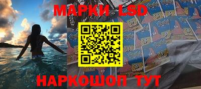 PSILOCYBIN Обнинск