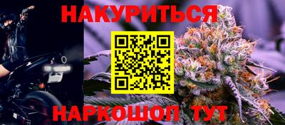 индика Обь