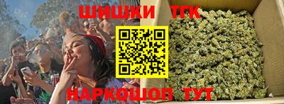 индика Обь