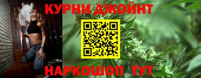 индика Обь