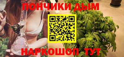индика Обь
