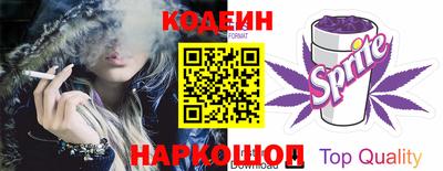 индика Обь