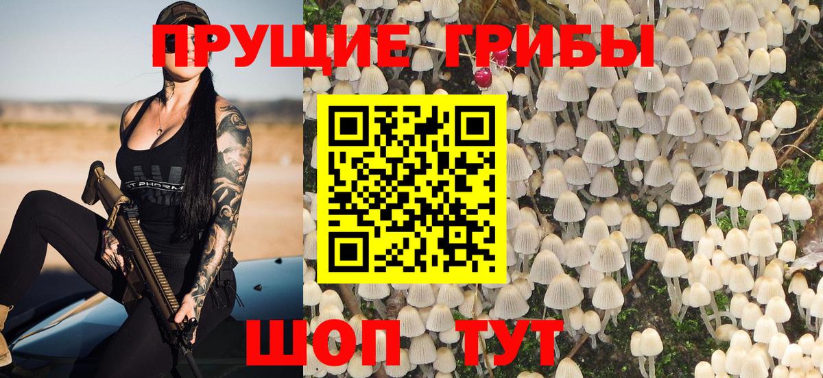 Петропавловск-Камчатский  Галлюциногенные грибы Magic Shrooms  Вход с VPN 
