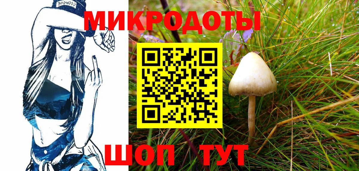 Псилоцибиновые грибы Psilocybine cubensis Петропавловск-Камчатский